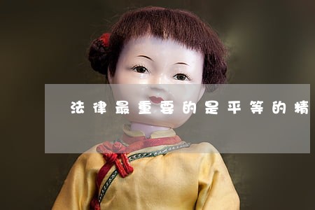 法律最重要的是平等的精神 法律最重要的是平等的精神