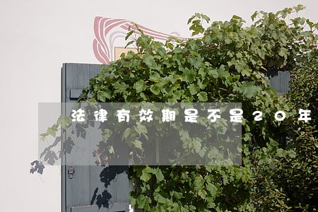 法律有效期是不是20年