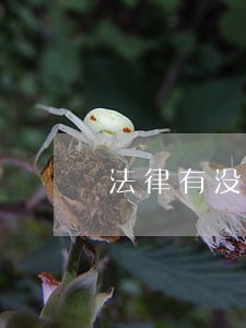 法律有没有义务帮我澄清