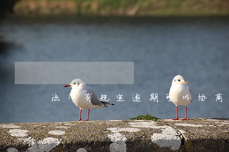 法律有规定逾期可以协商吗 法律有规定逾期可以协商吗