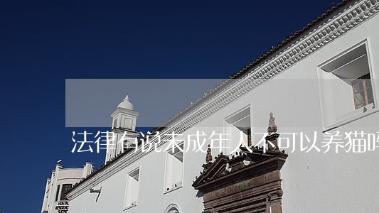 法律有说未成年人不可以养猫吗 法律有说未成年人不可以养猫吗