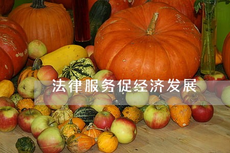 法律服务促经济发展 法律服务促经济发展