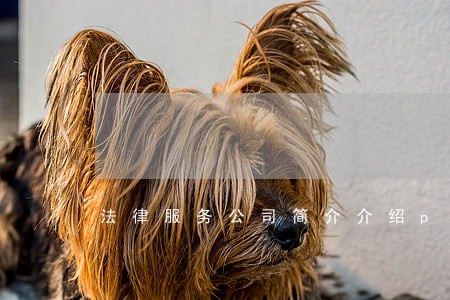 法律服务公司简介介绍ppt 法律服务公司简介介绍ppt