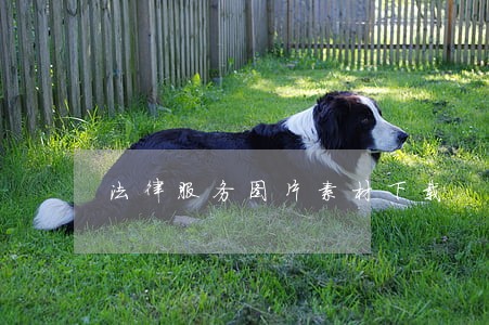 法律服务图片素材下载 法律服务图片素材下载