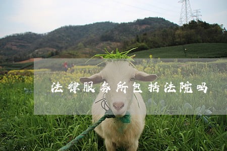 法律服务所包括法院吗 法律服务所包括法院吗