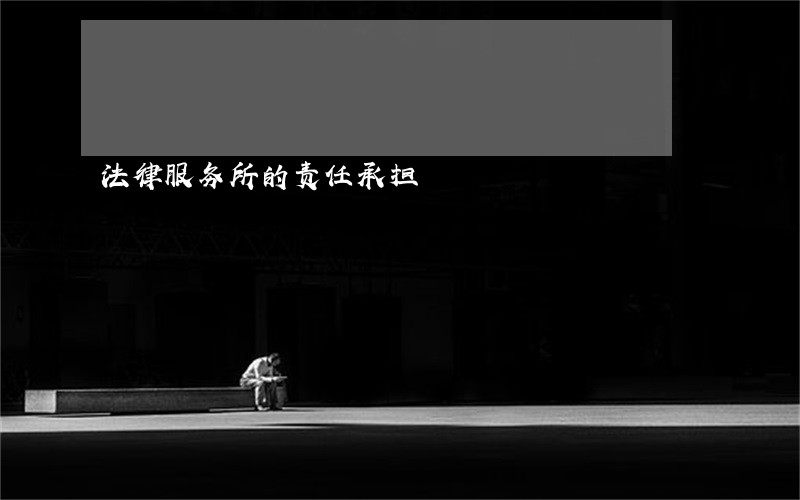 法律服务所的责任承担 法律服务所的责任承担