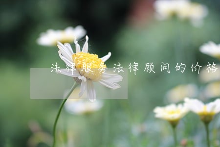 法律服务法律顾问的价格 法律服务法律顾问的价格