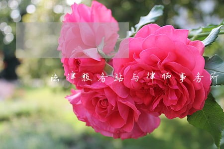 法律服务站与律师事务所区别