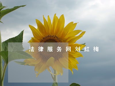 法律服务网刘红梅