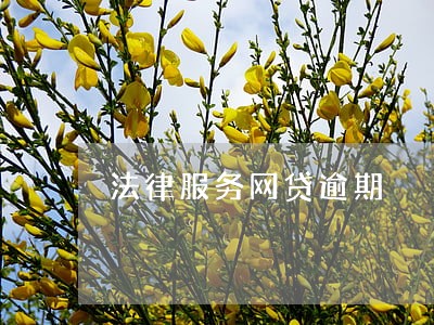 法律服务网贷逾期 法律服务网贷逾期