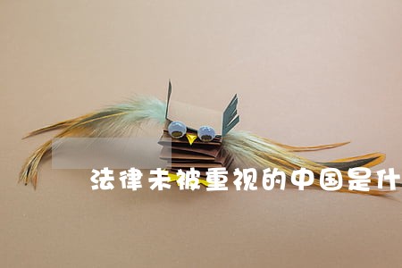法律未被重视的中国是什么样子 法律未被重视的中国是什么样子