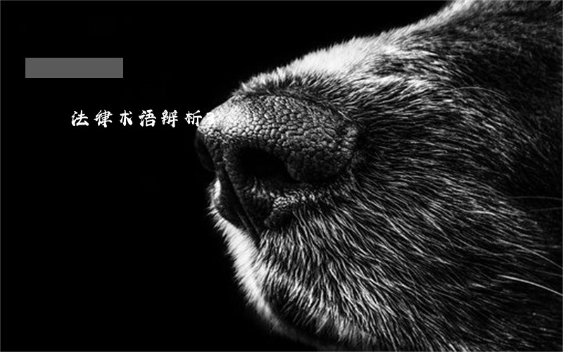 法律术语辨析3 法律术语辨析3