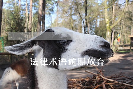 法律术语逾期放弃