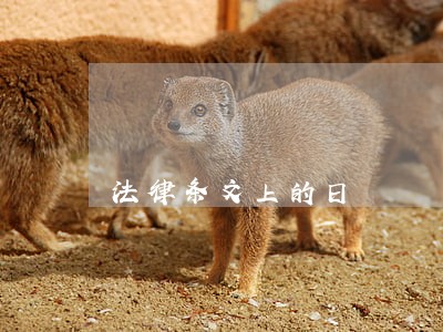 法律条文上的日 法律条文上的日