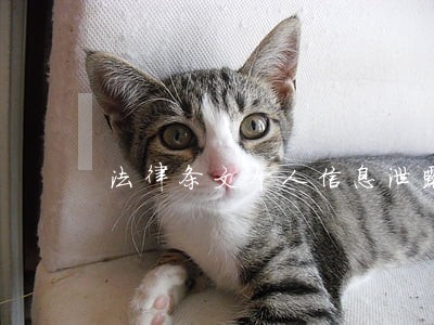 法律条文个人信息泄露