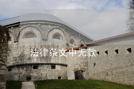 法律条文中无款 法律条文中无款