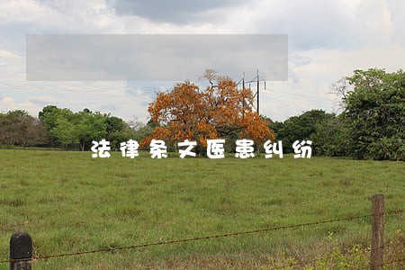 法律条文医患纠纷