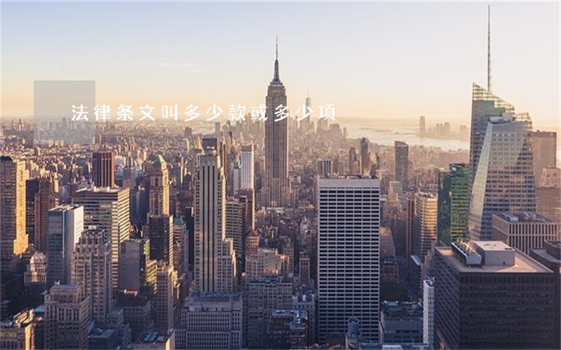 法律条文叫多少款或多少项 法律条文叫多少款或多少项