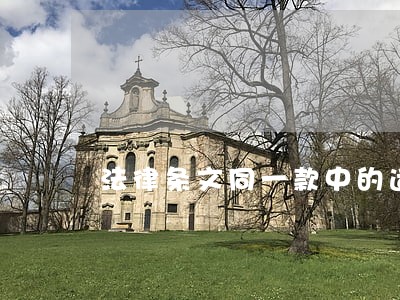 法律条文同一款中的适用 法律条文同一款中的适用
