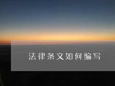法律条文如何编写