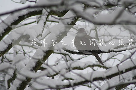 法律条文并处罚款必须罚吗