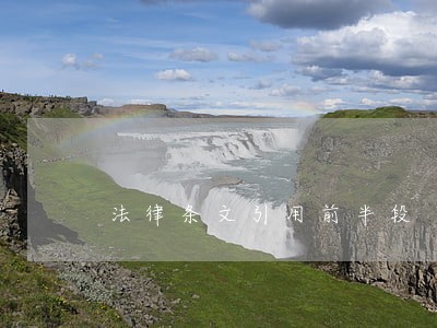 法律条文引用前半段