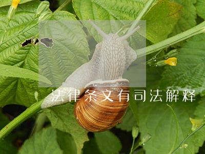 法律条文有司法解释 法律条文有司法解释