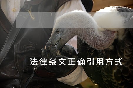 法律条文正确引用方式 法律条文正确引用方式