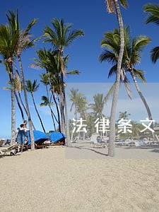 法律条文第几条 法律条文第几条
