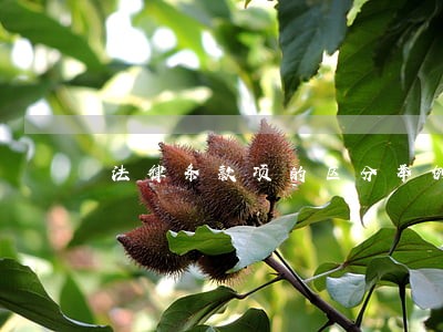 法律条款项的区分举例 法律条款项的区分举例