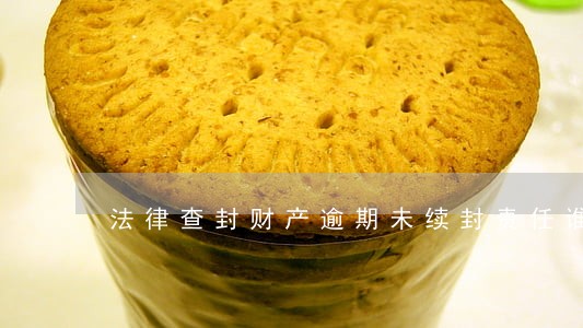 法律查封财产逾期未续封责任谁负 法律查封财产逾期未续封责任谁负