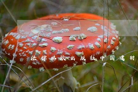 法律格致出版社中国建材工业出版社 法律格致出版社中国建材工业出版社
