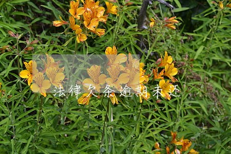 法律欠条逾期未还 法律欠条逾期未还