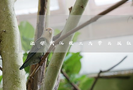 法律武汉理工大学出版社中国海关出版社 法律武汉理工大学出版社中国海关出版社