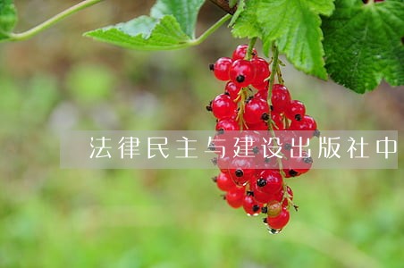 法律民主与建设出版社中国发展出版社 法律民主与建设出版社中国发展出版社