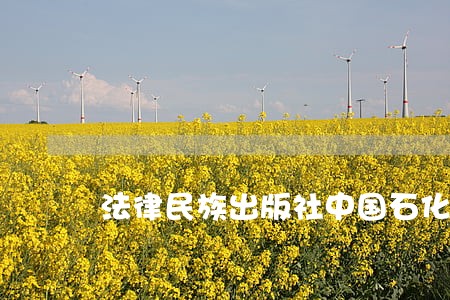 法律民族出版社中国石化出版社 法律民族出版社中国石化出版社