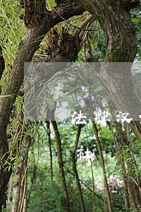 法律汉语大词典出版社中国大百科全书出版社 法律汉语大词典出版社中国大百科全书出版社