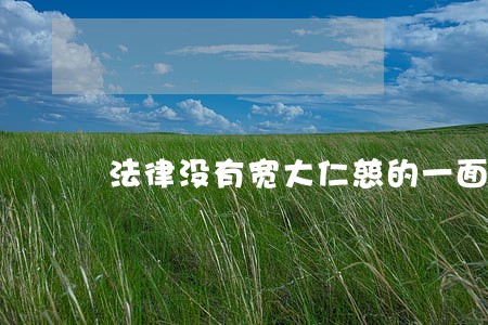 法律没有宽大仁慈的一面