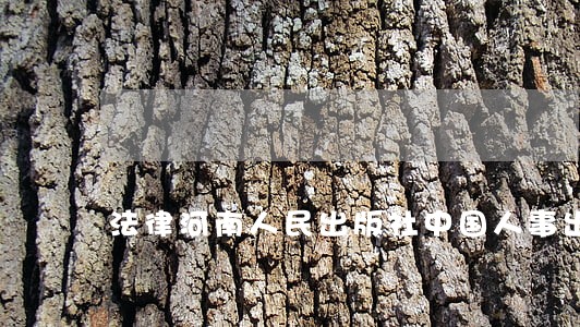 法律河南人民出版社中国人事出版社 法律河南人民出版社中国人事出版社