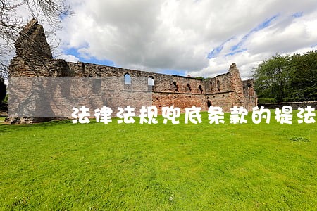 法律法规兜底条款的提法 法律法规兜底条款的提法