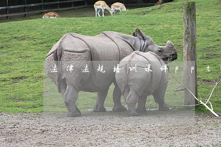 法律法规培训课件ppt 法律法规培训课件ppt