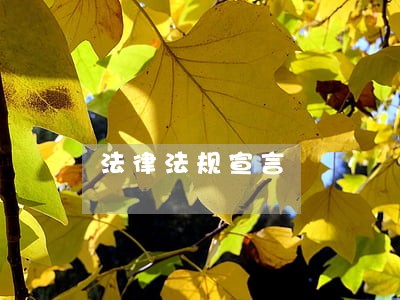 法律法规宣言 法律法规宣言