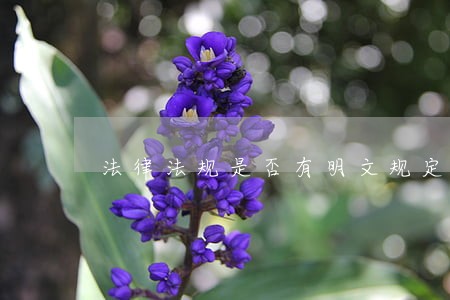法律法规是否有明文规定 法律法规是否有明文规定