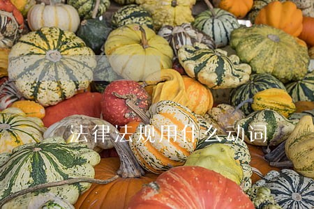 法律法规用什么动词 法律法规用什么动词