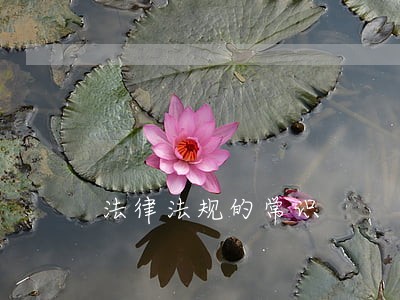 法律法规的常识 法律法规的常识