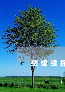法律法规的绘画作品