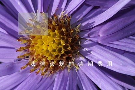 法律法规的逾期费用