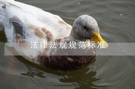 法律法规规范标准