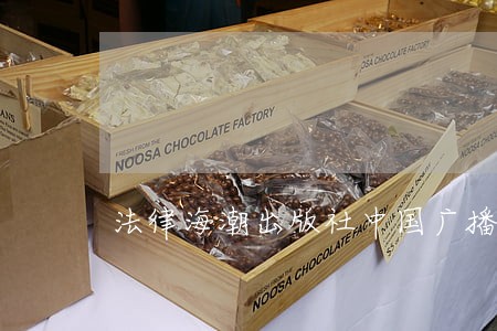 法律海潮出版社中国广播影视出版社 法律海潮出版社中国广播影视出版社