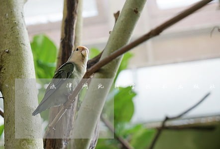 法律湖北科学技术出版社中国人事出版社 法律湖北科学技术出版社中国人事出版社